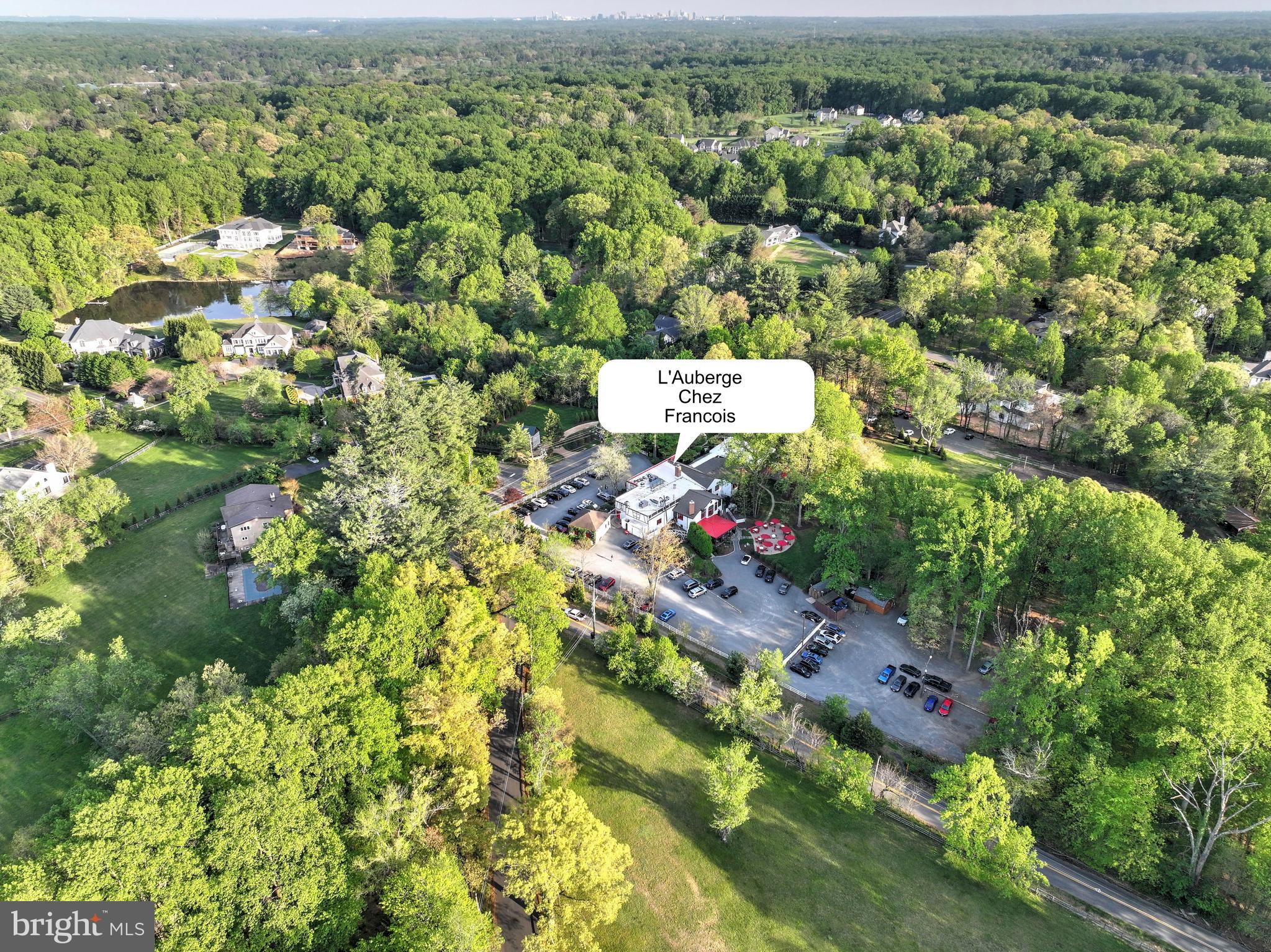 317 Springvale Road Great Falls, VA 22066 - Photo 98 of 98 an aerial view of a houses with a yard