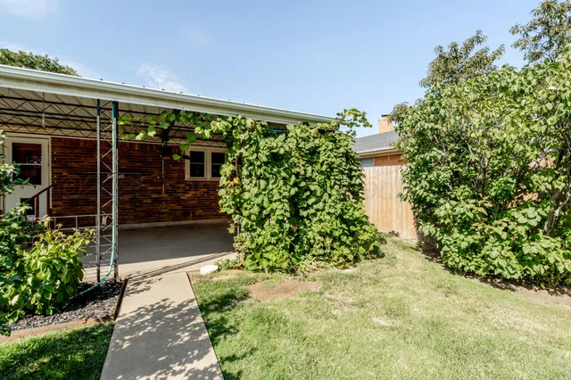 a view of a backyard