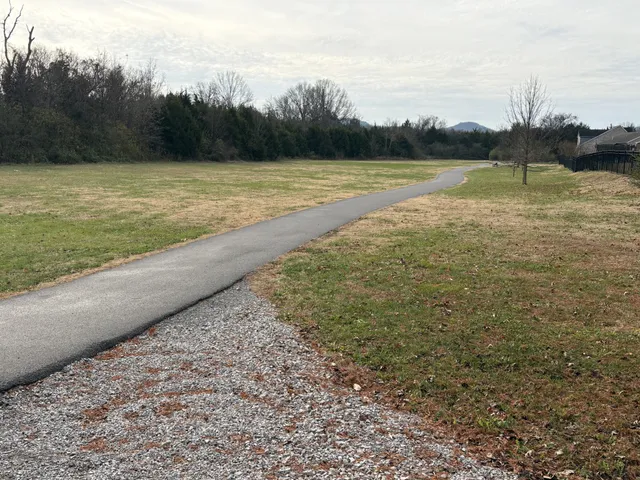 a view of an ocean and beach