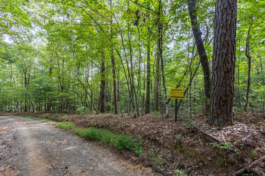 2-ac Horvath Road Murphy, NC 28906 - Photo 4 of 12