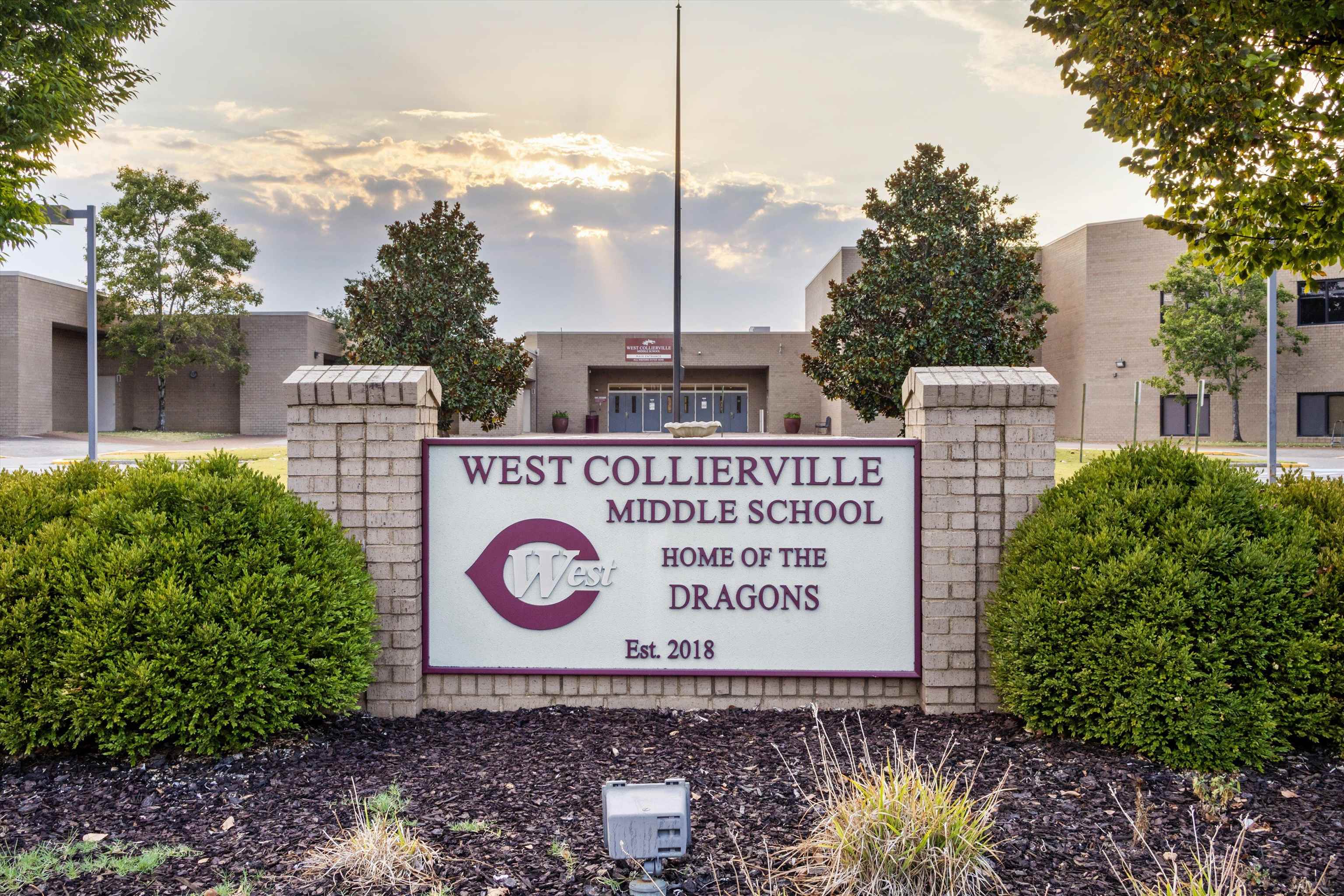 1231 Pinnacle Point Drive Collierville, TN 38017 - Photo 37 of 38