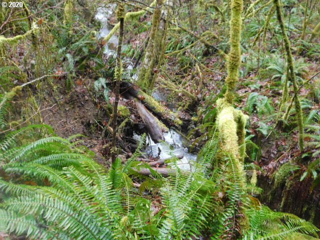Reid Road Scappoose, OR 97056 - Photo 1 of 11 a backyard of a house with lots of green space