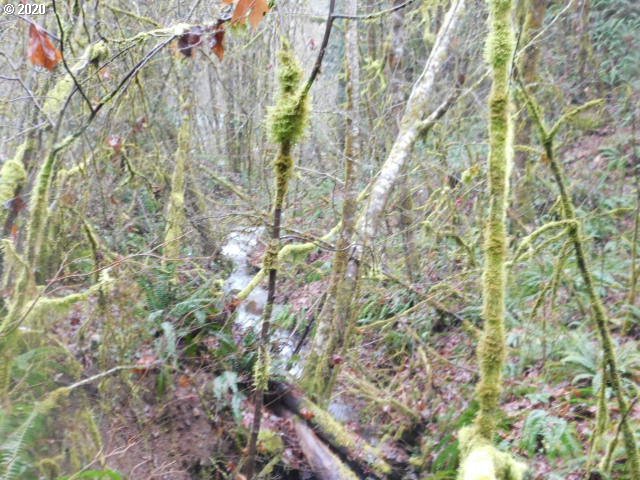 Reid Road Scappoose, OR 97056 - Photo 2 of 11 a backyard of a house