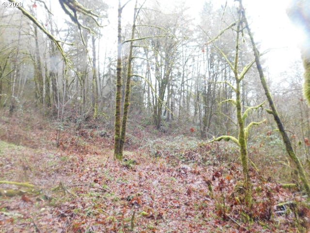 Reid Road Scappoose, OR 97056 - Photo 5 of 11 a backyard of a house with lots of green space