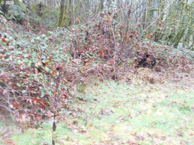 Reid Road Scappoose, OR 97056 - Photo 10 of 11 a view of a yard