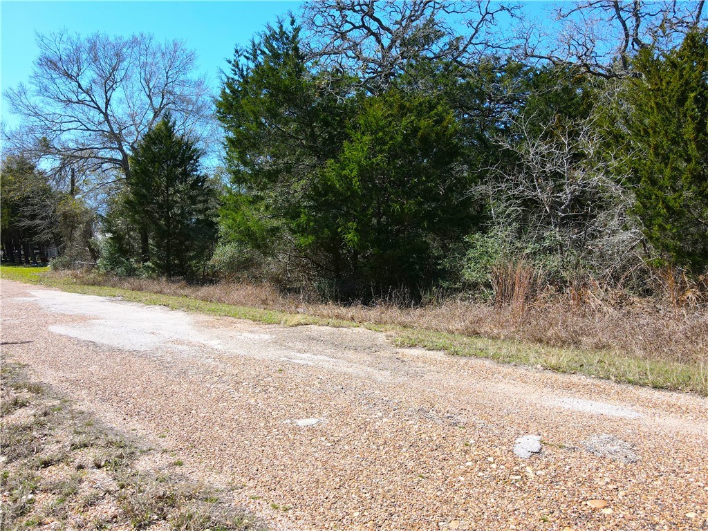 1005 Wild Berry Road Somerville, TX 77879 - Photo 1 of 7 a view of a yard with a tree