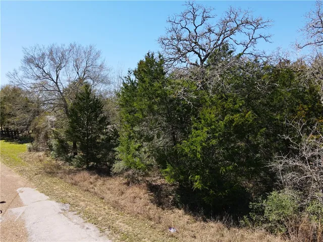 a view of a pathway with a tree