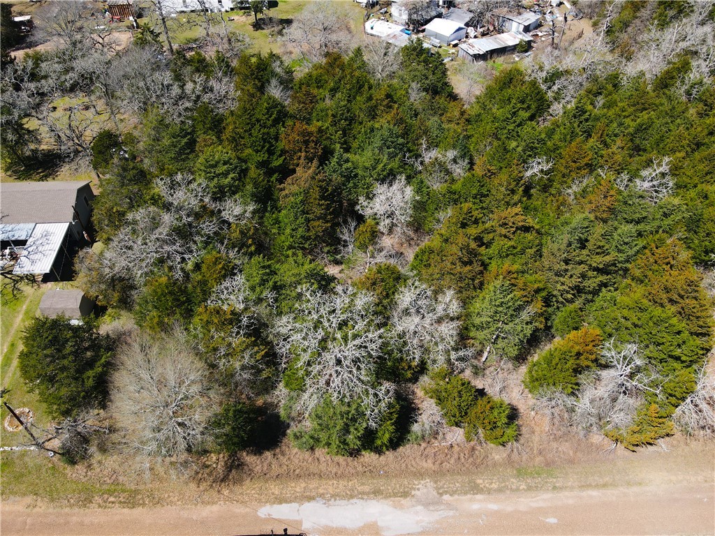 1005 Wild Berry Road Somerville, TX 77879 - Photo 3 of 7 an aerial view of a yard