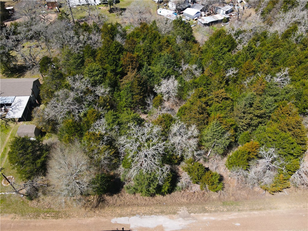 1005 Wild Berry Road Somerville, TX 77879 - Photo 4 of 7 an aerial view of a house with a yard