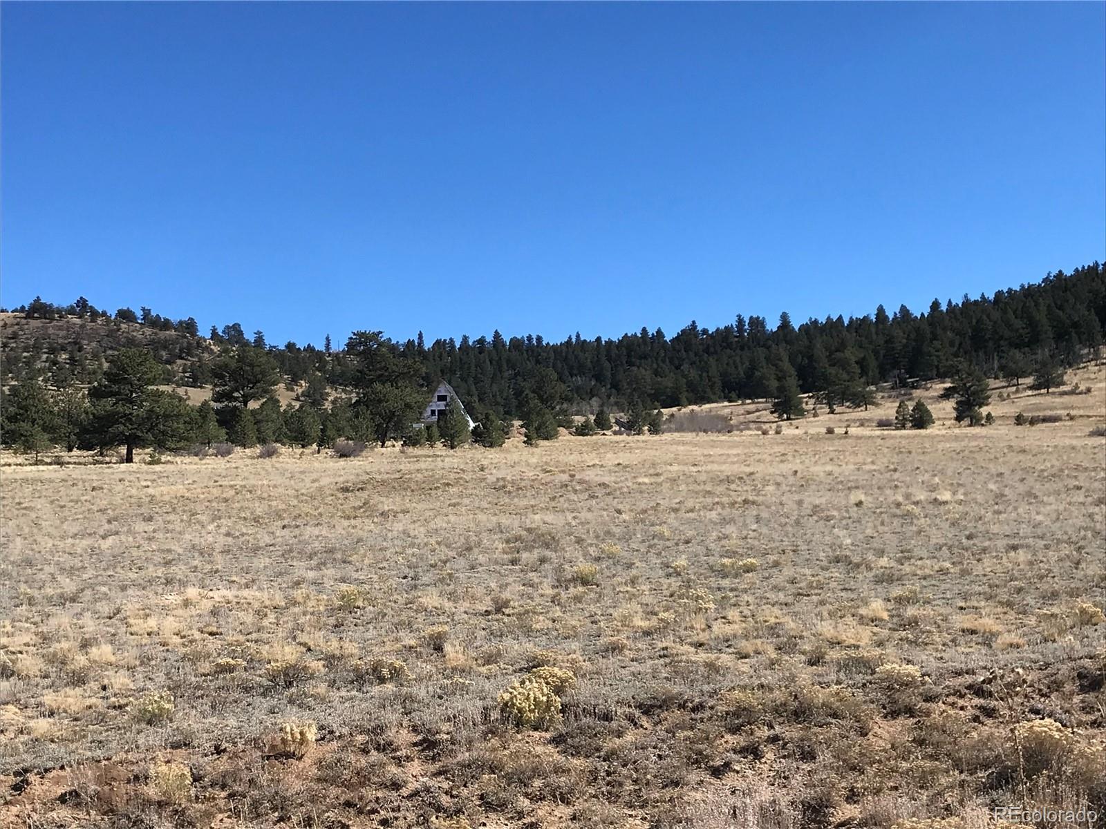 Chickasaw Road Hartsel, CO 80449 - Photo 3 of 6 a view of ocean view with lots of trees