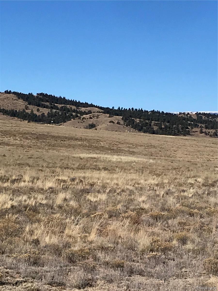Chickasaw Road Hartsel, CO 80449 - Photo 4 of 6 a view of lake and mountain