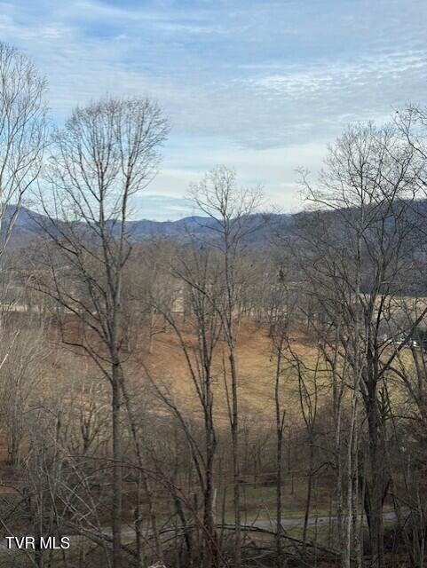 Tbd Mining Ridge Road, Unit 4C Mountain City, TN 37683 - Photo 1 of 4 thumbnail_IMG_8551