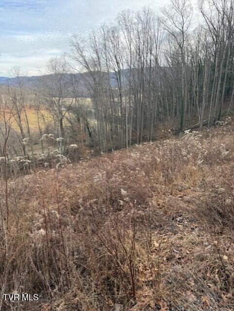 Tbd Mining Ridge Road, Unit 4C Mountain City, TN 37683 - Photo 2 of 4 thumbnail_IMG_8549