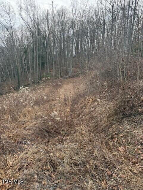 Tbd Mining Ridge Road, Unit 4C Mountain City, TN 37683 - Photo 3 of 4 thumbnail_IMG_8548