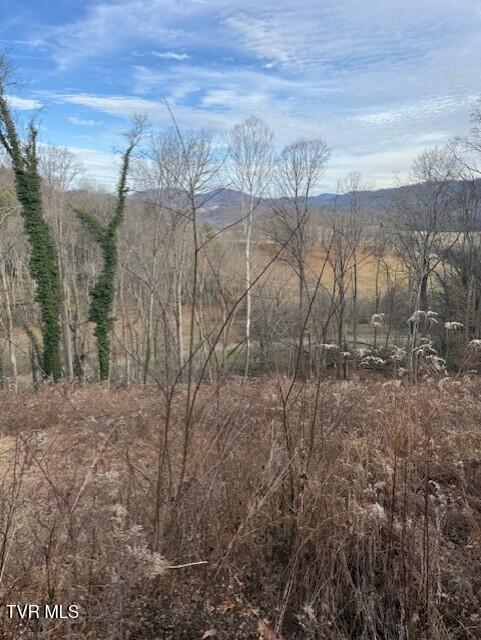 Tbd Mining Ridge Road, Unit 4C Mountain City, TN 37683 - Photo 4 of 4 thumbnail_IMG_8550