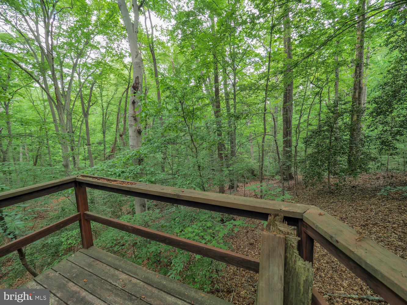 524 Ridge Road Annapolis, MD 21401 - Photo 33 of 58 a view of a forest from a balcony