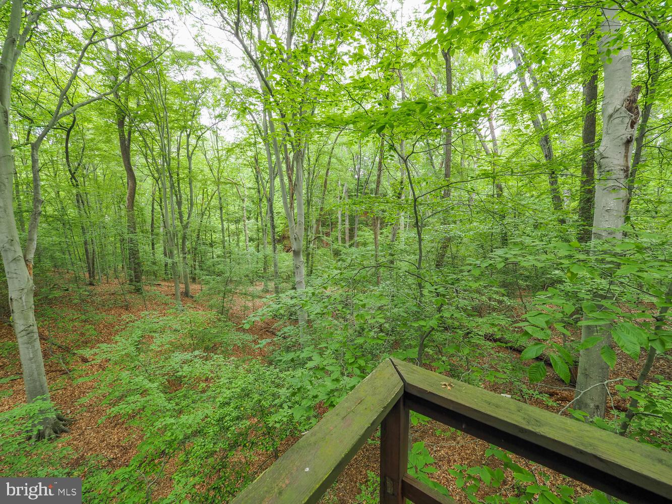 524 Ridge Road Annapolis, MD 21401 - Photo 34 of 58 a view of a garden from a balcony