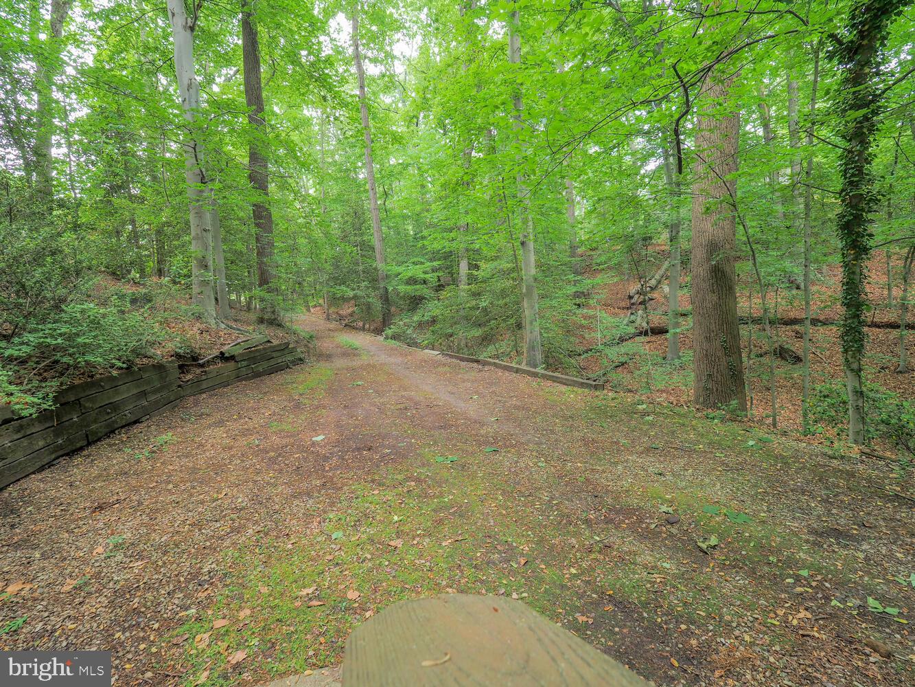 524 Ridge Road Annapolis, MD 21401 - Photo 5 of 58 a view of a yard with trees in the background