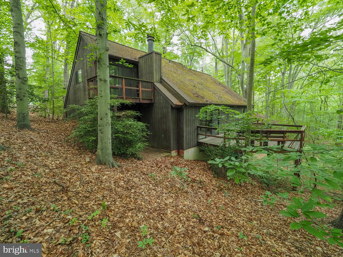 524 Ridge Road Annapolis, MD 21401 - Photo 56 of 58 a backyard of a house with plants and large trees