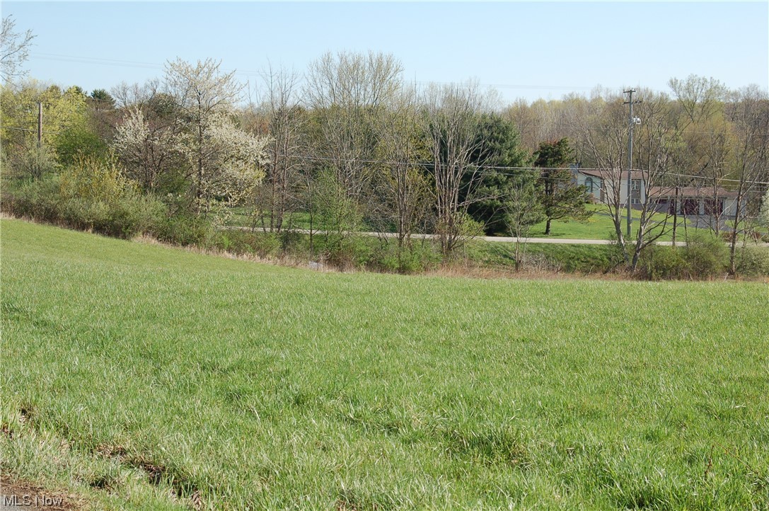 Ryan Road Medina, OH 44256 - Photo 3 of 15 Gallery Image 3