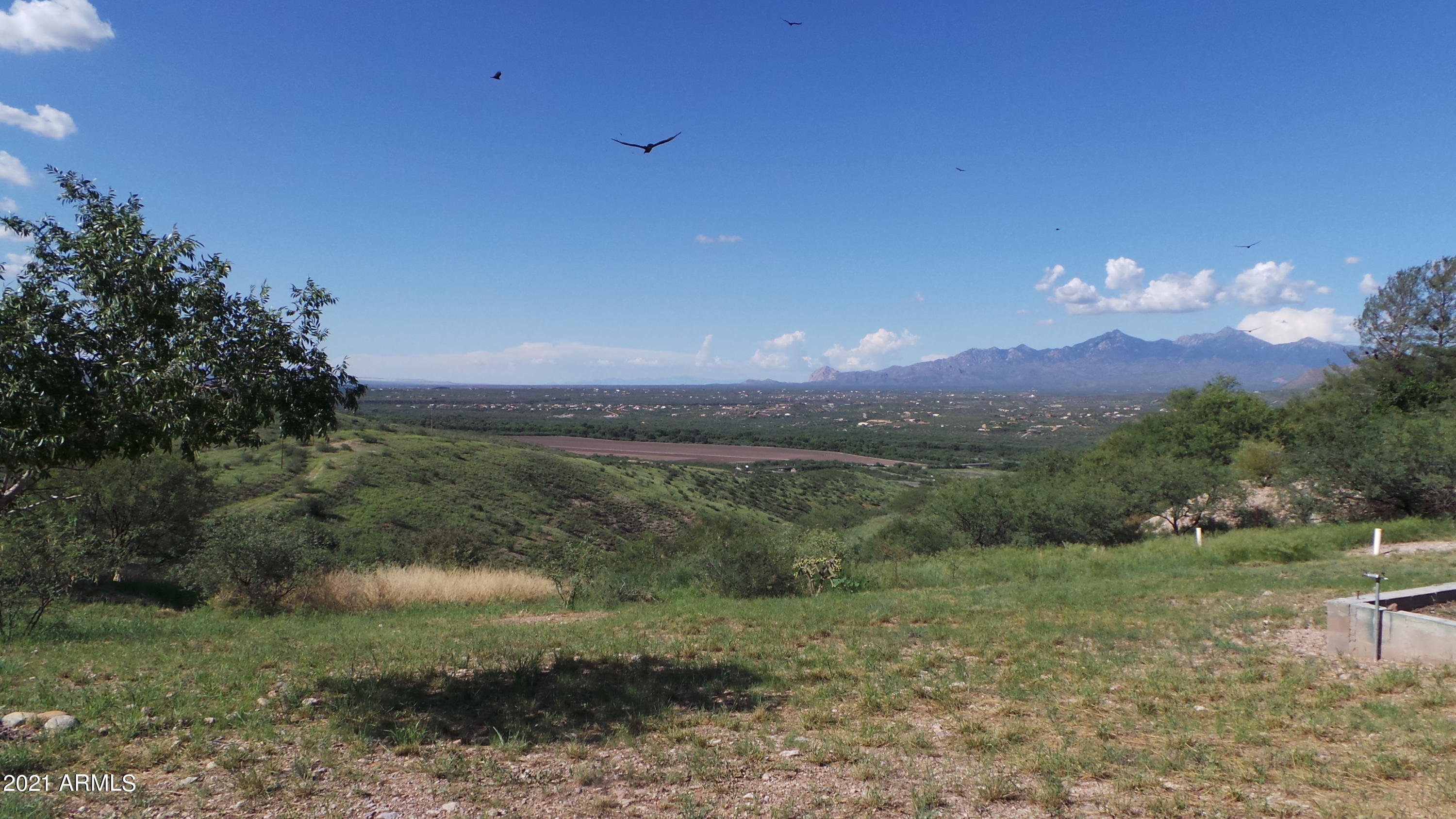 620 Nopal Court Rio Rico, AZ 85648 - Photo 5 of 24 20190829_155139