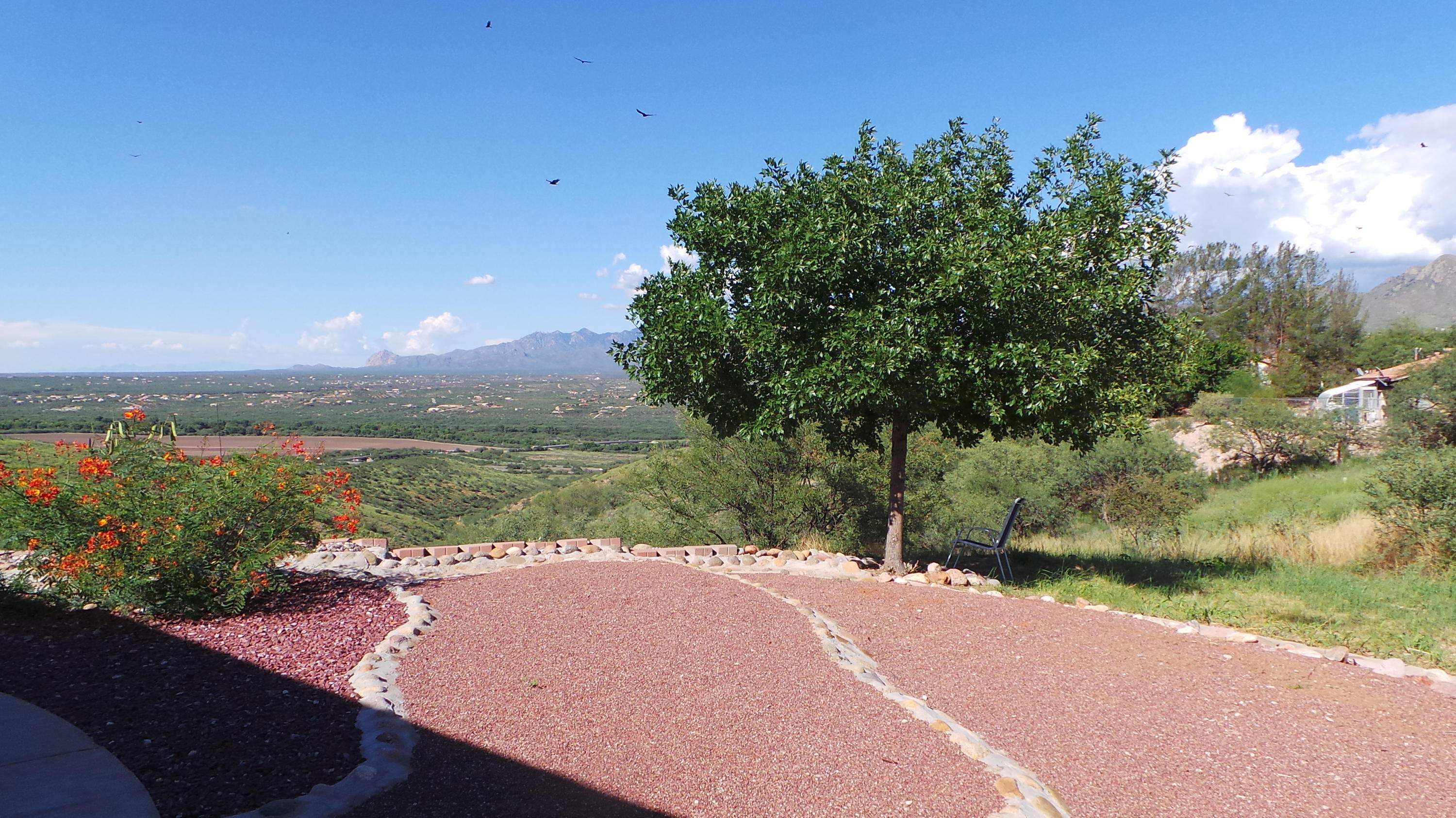 620 Nopal Court Rio Rico, AZ 85648 - Photo 6 of 24 20190829_155240