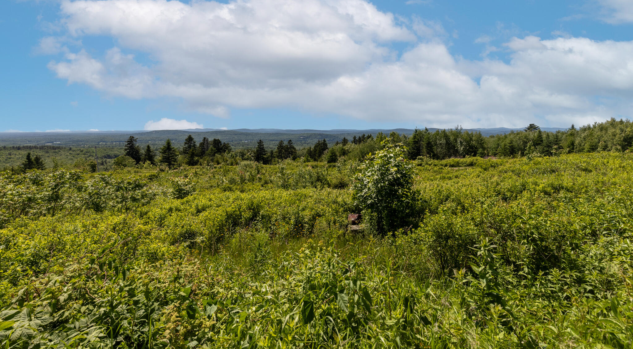 533 Mt Ephraim Road Searsport, ME 04974 - Photo 42 of 70