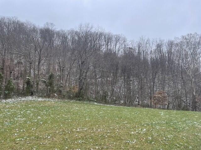 6800 Lower Licking Road Morehead, KY 40351 - Photo 7 of 9 Lower Licking Rd 6