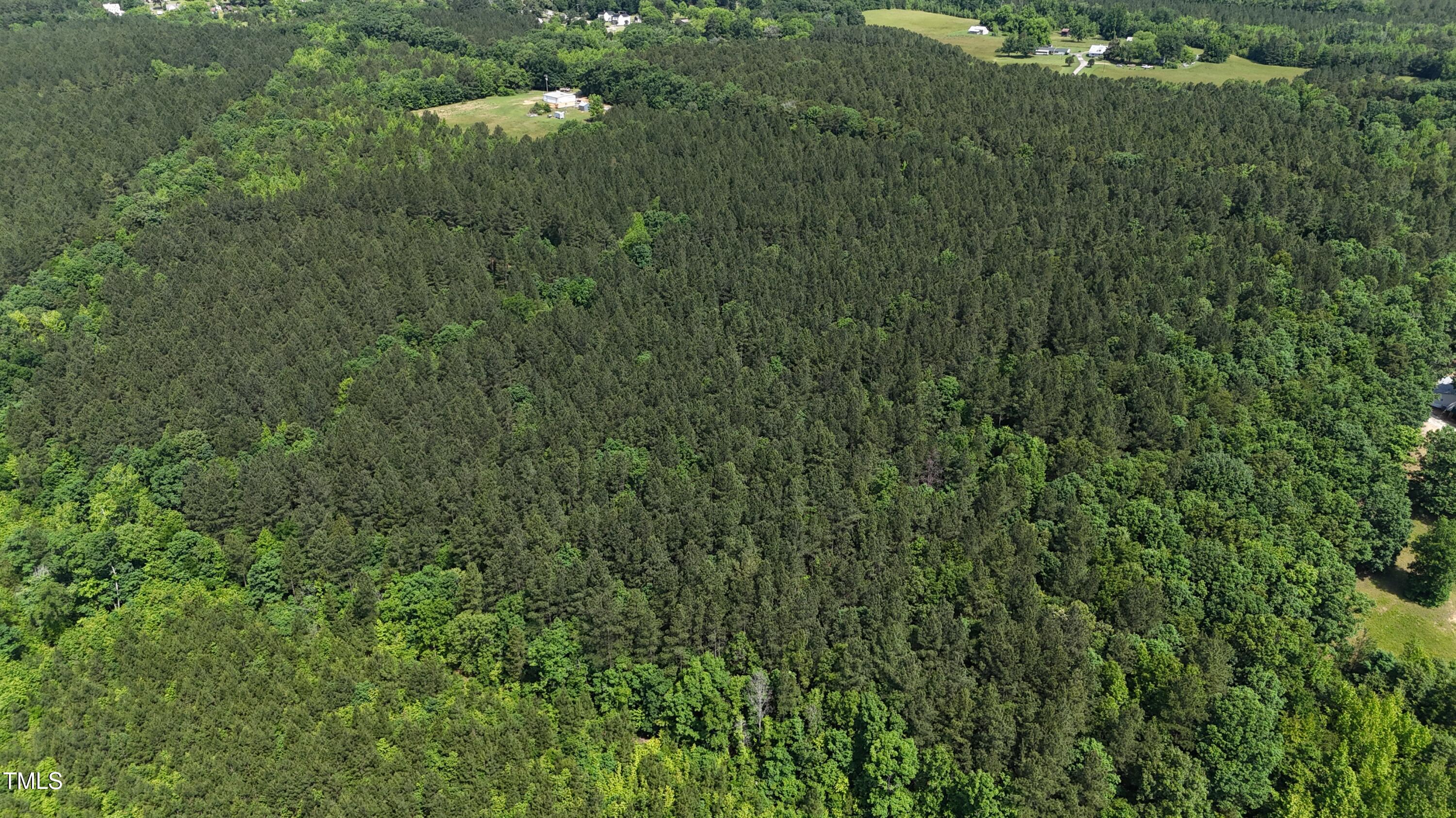 Lot 14 Wolf Pit Road Oxford, NC 27565 - Photo 12 of 17 a11