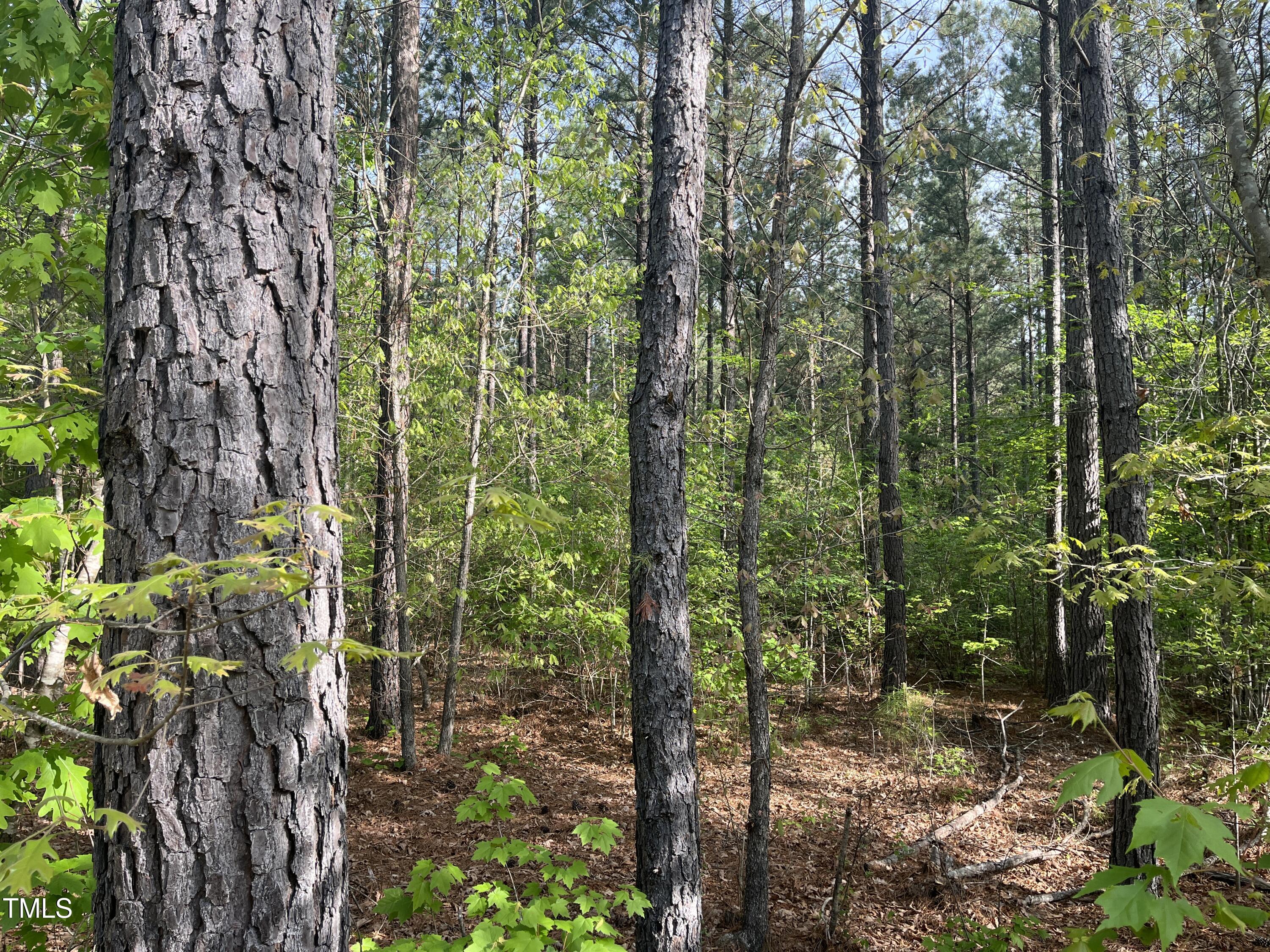 Lot 14 Wolf Pit Road Oxford, NC 27565 - Photo 16 of 17 IMG_7466