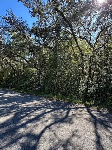 a view of a yard with a tree