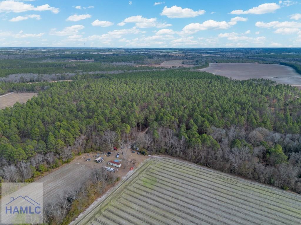 3 Reddish Road Screven, GA 31560 - Photo 7 of 55 Gallery Image 7