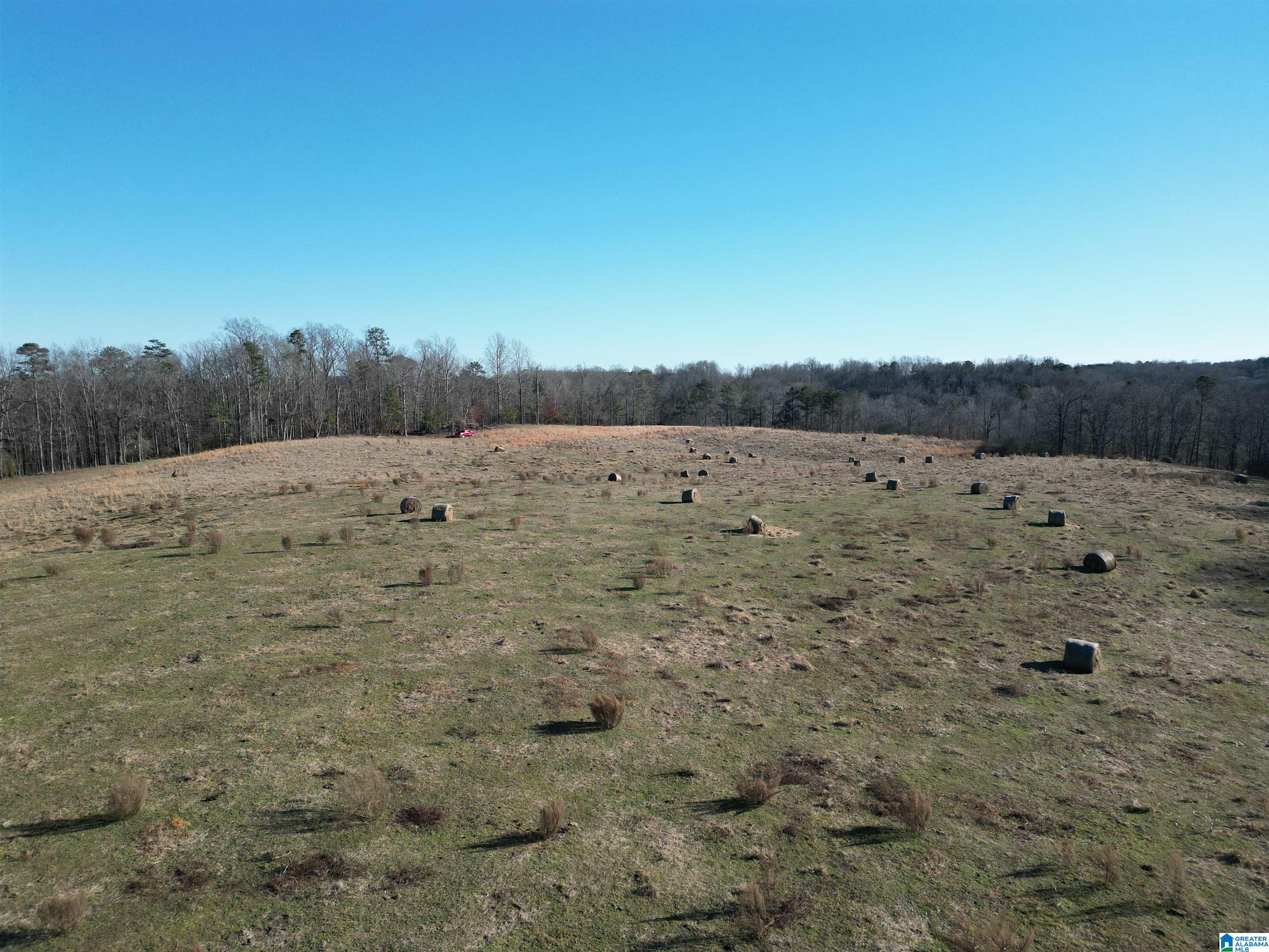 682 County Road 832 Logan, AL 35098 - Photo 27 of 48