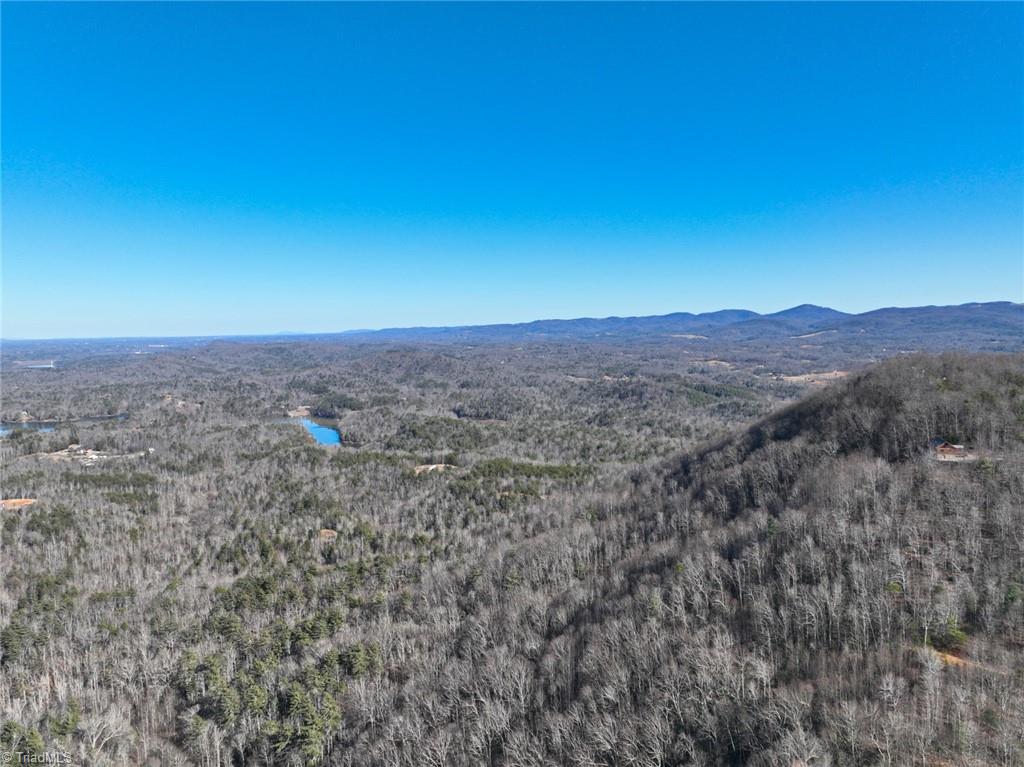 658 Green Point Lane Boomer, NC 28606 - Photo 42 of 50