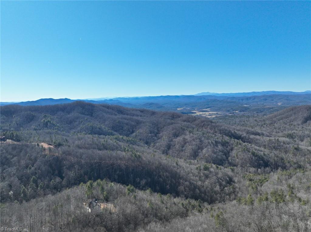 658 Green Point Lane Boomer, NC 28606 - Photo 43 of 50