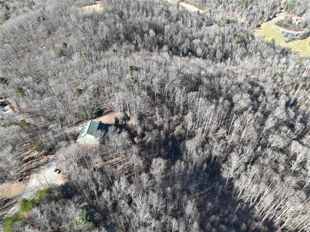 658 Green Point Lane Boomer, NC 28606 - Photo 45 of 50