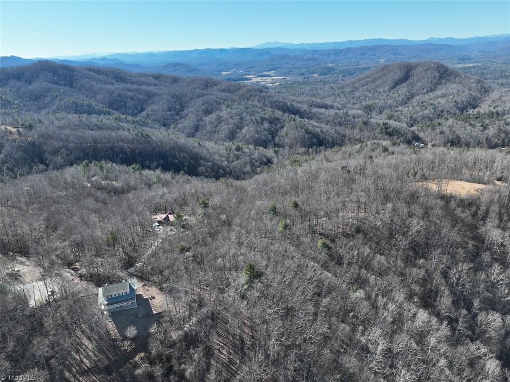 658 Green Point Lane Boomer, NC 28606 - Photo 46 of 50