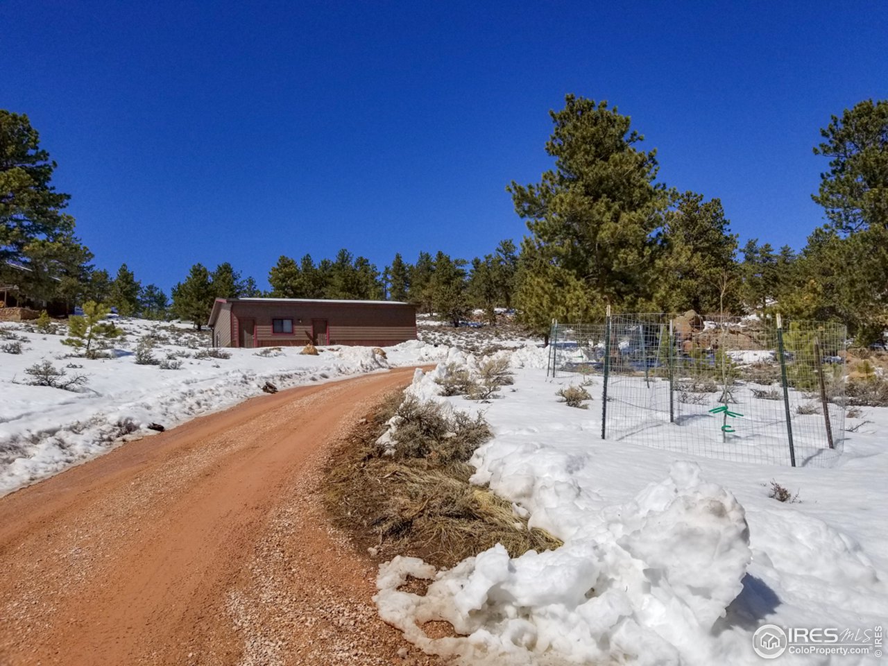 345 Caddo Road Red Feather Lakes, CO 80545 - Photo 23 of 40 very nice and improved driveway leads to 925 SF garage and shop