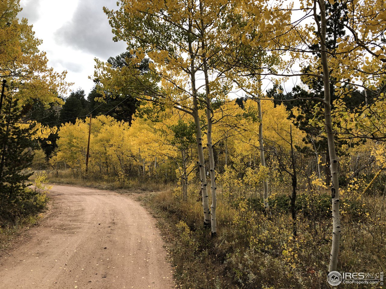 345 Caddo Road Red Feather Lakes, CO 80545 - Photo 34 of 40 gorgeous in fall colors