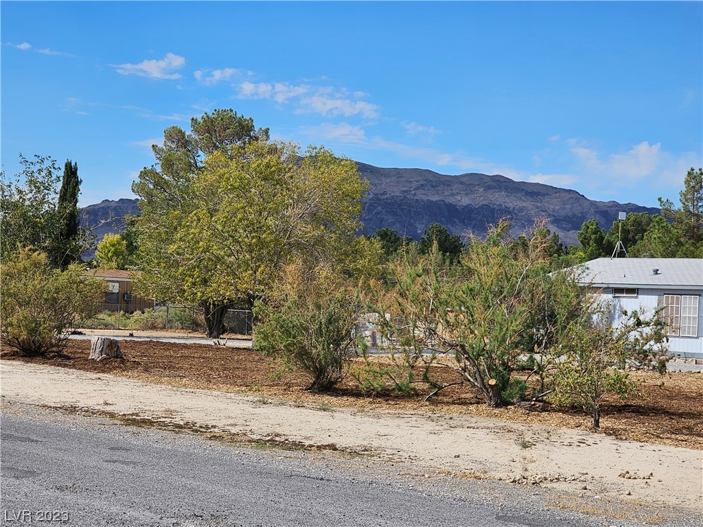 710 Bunarch Road Pahrump, NV 89060 - Photo 52 of 55