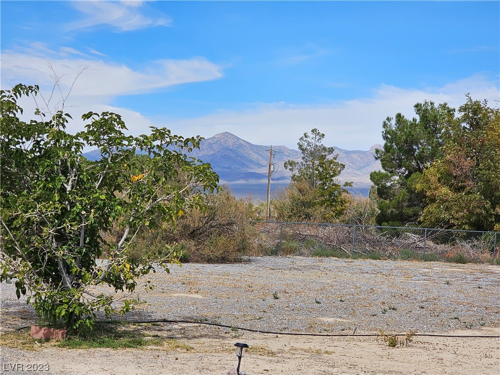 710 Bunarch Road Pahrump, NV 89060 - Photo 53 of 55