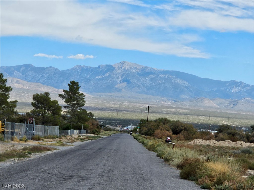 710 Bunarch Road Pahrump, NV 89060 - Photo 54 of 55