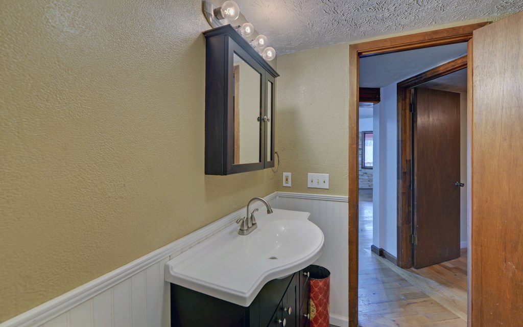 15 Trails End Road Blue Ridge, GA 30513 - Photo 16 of 46 a bathroom with a sink a mirror and a vanity