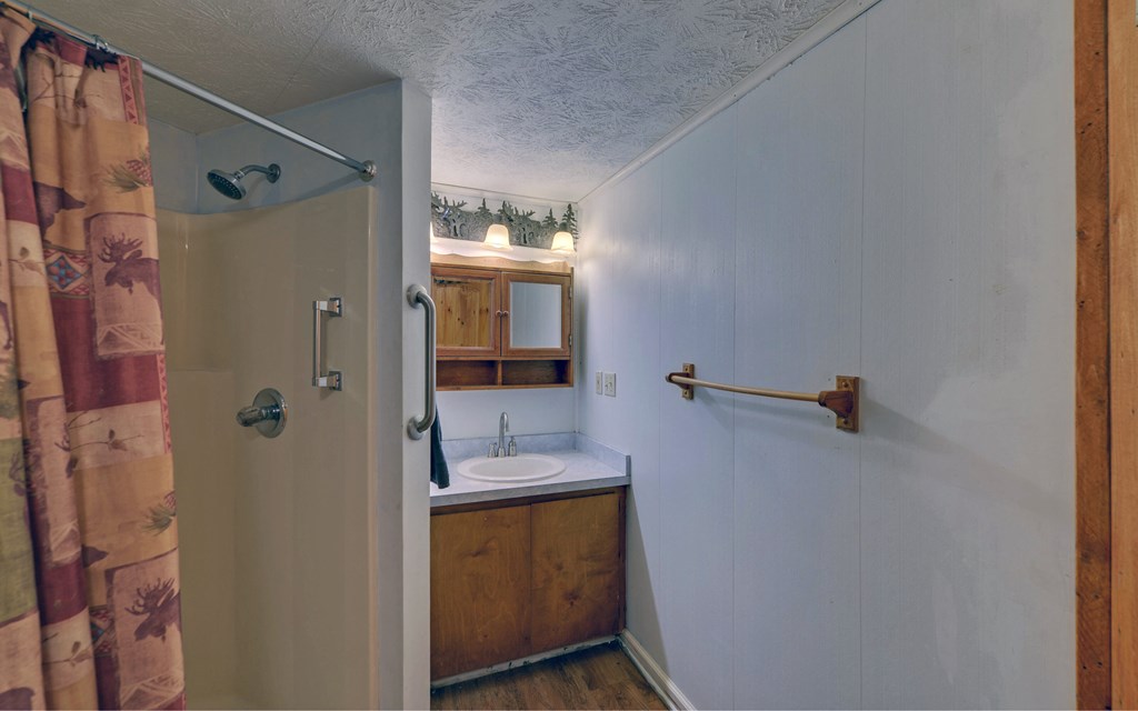 15 Trails End Road Blue Ridge, GA 30513 - Photo 24 of 46 a bathroom with a shower