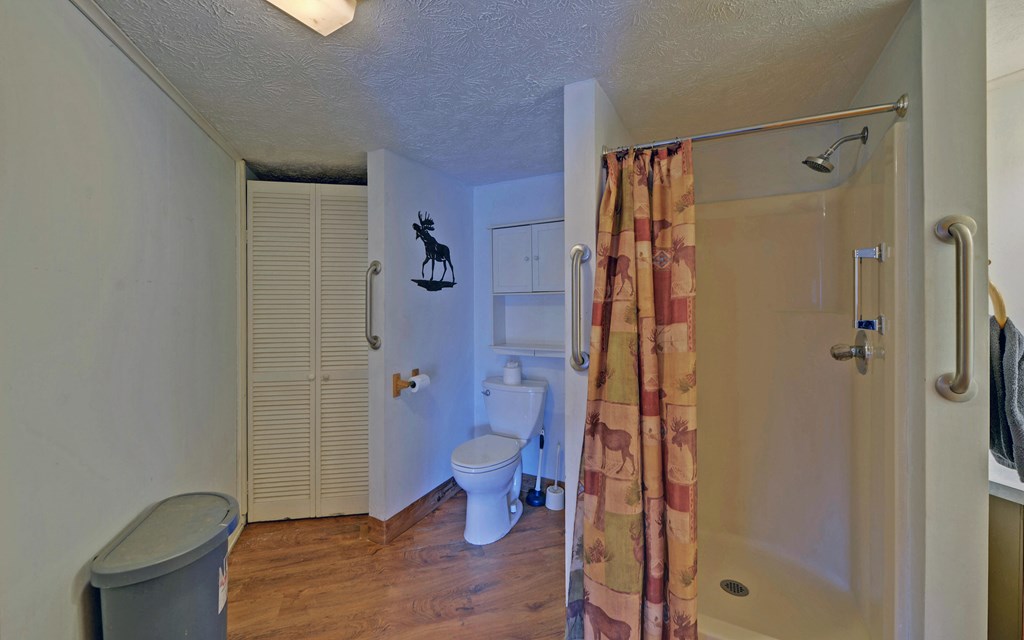 15 Trails End Road Blue Ridge, GA 30513 - Photo 25 of 46 a bathroom with a shower and a toilet
