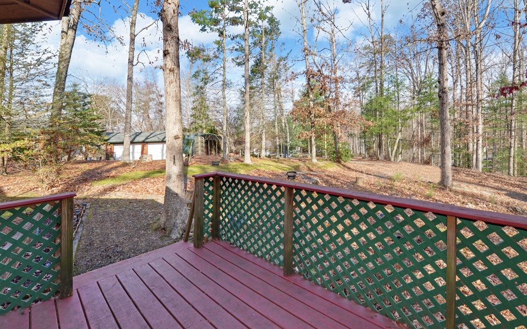 15 Trails End Road Blue Ridge, GA 30513 - Photo 29 of 46