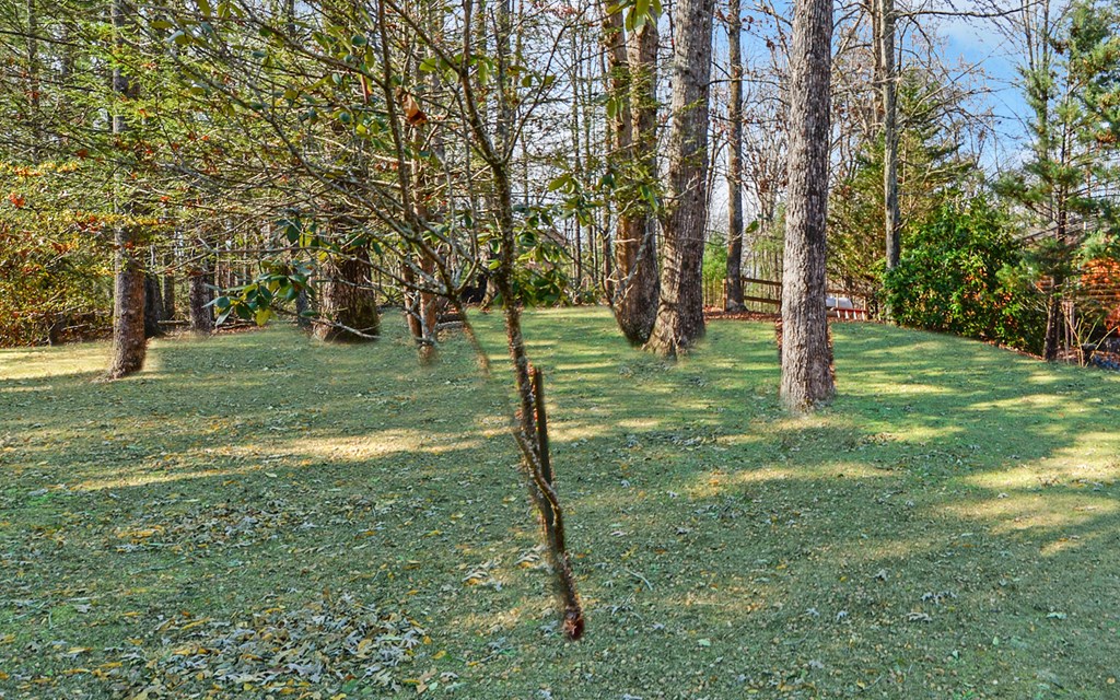 15 Trails End Road Blue Ridge, GA 30513 - Photo 39 of 46 a backyard of a house with lots of green space