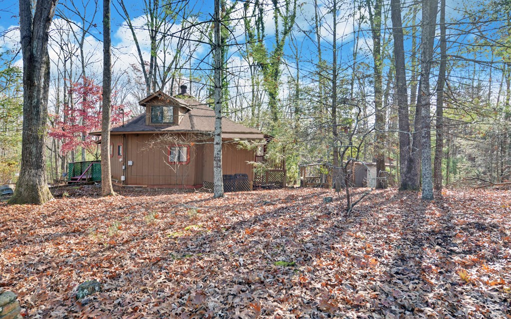 15 Trails End Road Blue Ridge, GA 30513 - Photo 40 of 46 a view of a backyard with large trees