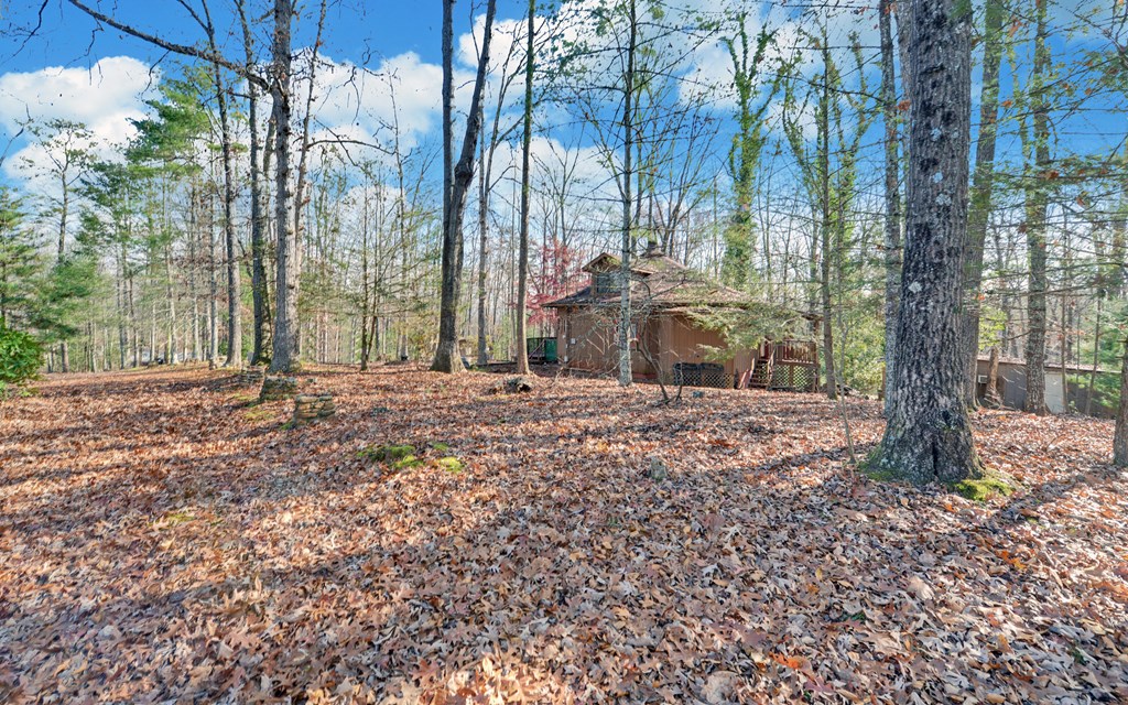15 Trails End Road Blue Ridge, GA 30513 - Photo 41 of 46 a backyard of a house with lots of green space