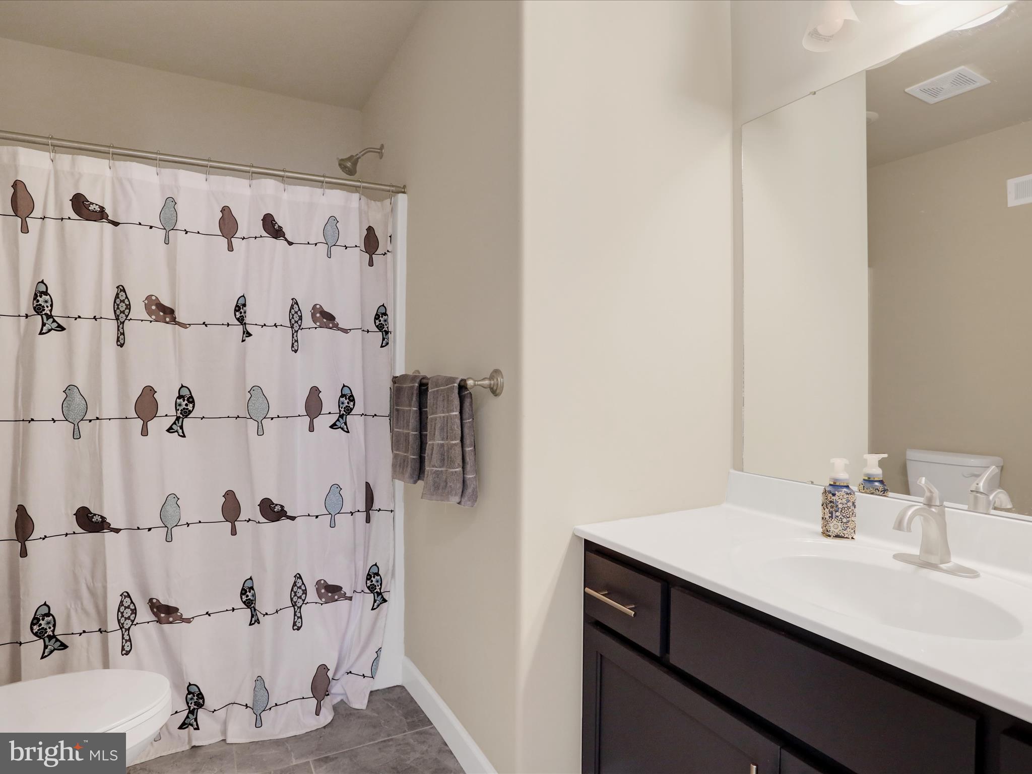 344 Hampshire Road Reading, PA 19608 - Photo 34 of 43 a bathroom with a sink and a mirror